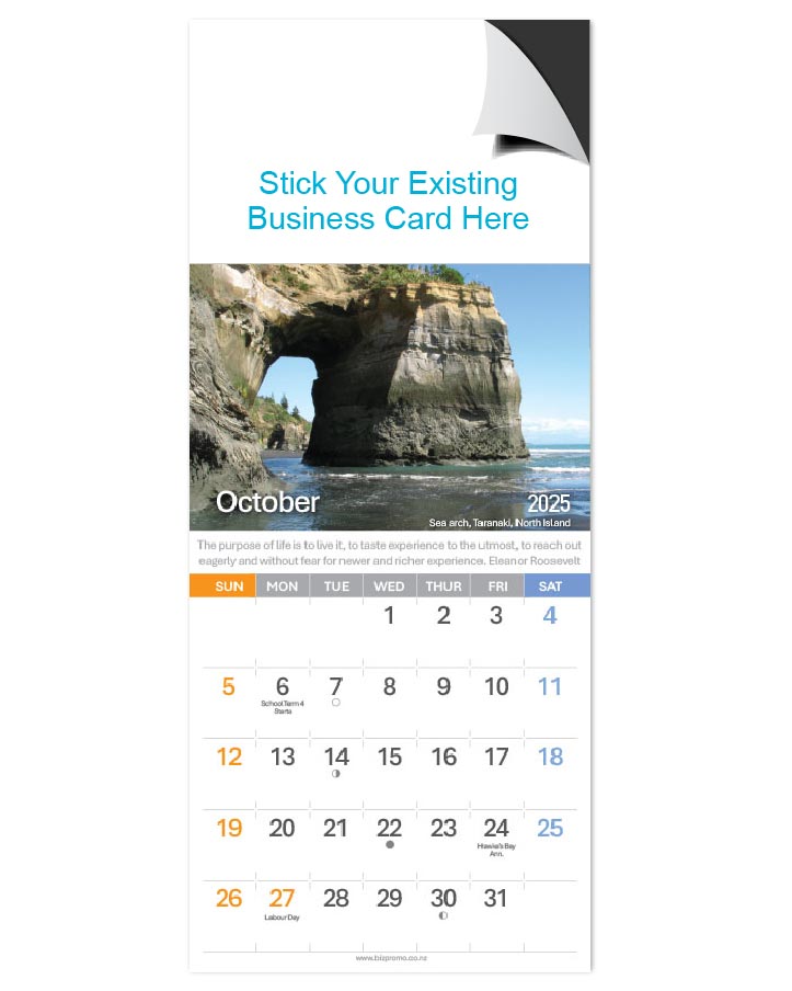 2025 Magnetic Calendar - Remarkable New Zealand (12 Months)